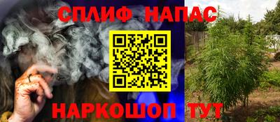 мдпв Партизанск