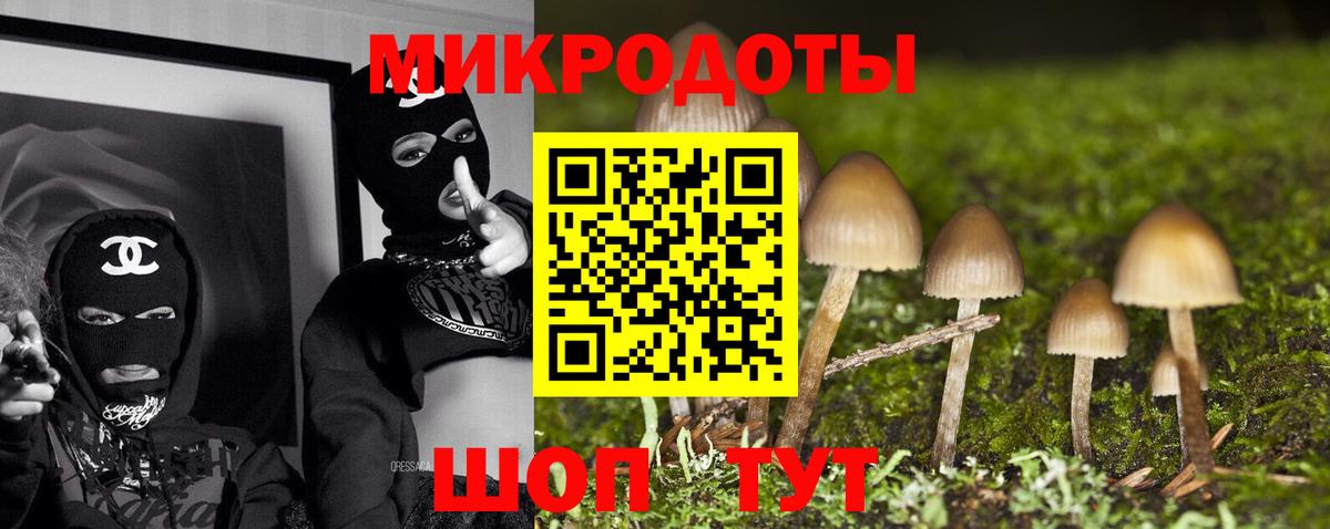 Псилоцибиновые грибы Psilocybine cubensis Тавда
