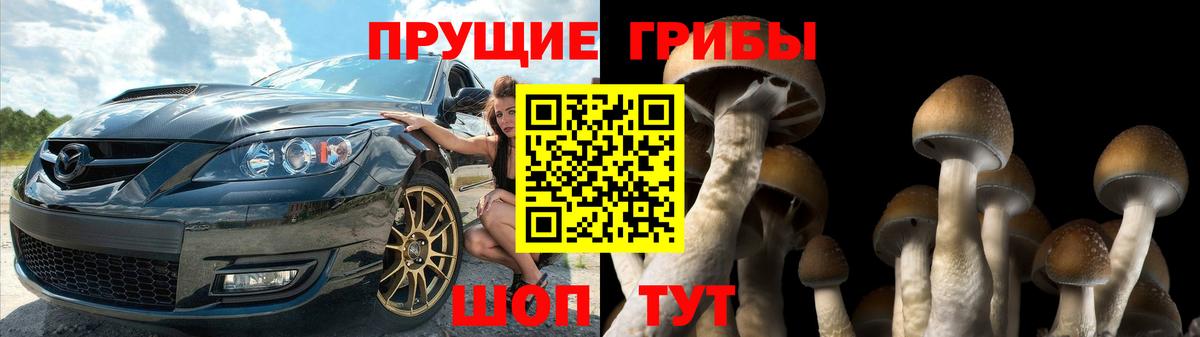Псилоцибиновые грибы MAGIC MUSHROOMS  Вход с VPN  Тавда 